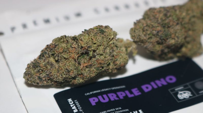 purple dino by doja exclusive x blueprint strain review by biscaynebaybudz