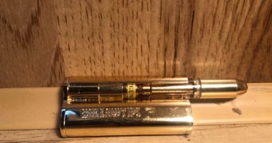 raygun cartridge by hollowtips vape review by caleb chen