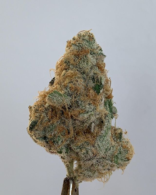 sunrise by fig farms strain review by wl_official619 2