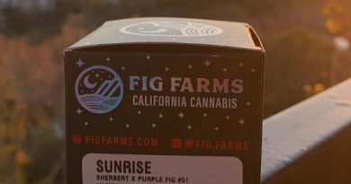 sunrise by fig farms strain review by wl_official619