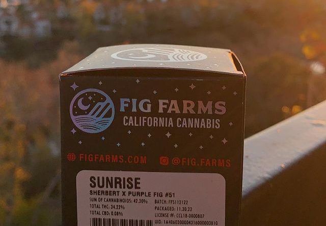 sunrise by fig farms strain review by wl_official619