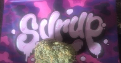 syrup by your highness strain review by caleb chen