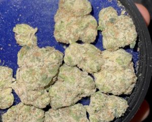 toxic candy by gelato kid strain review by feartheterps 2