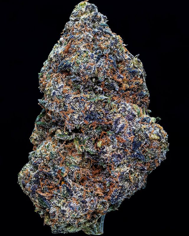 vvs runtz by terpzco strain review by thebudstudio 2