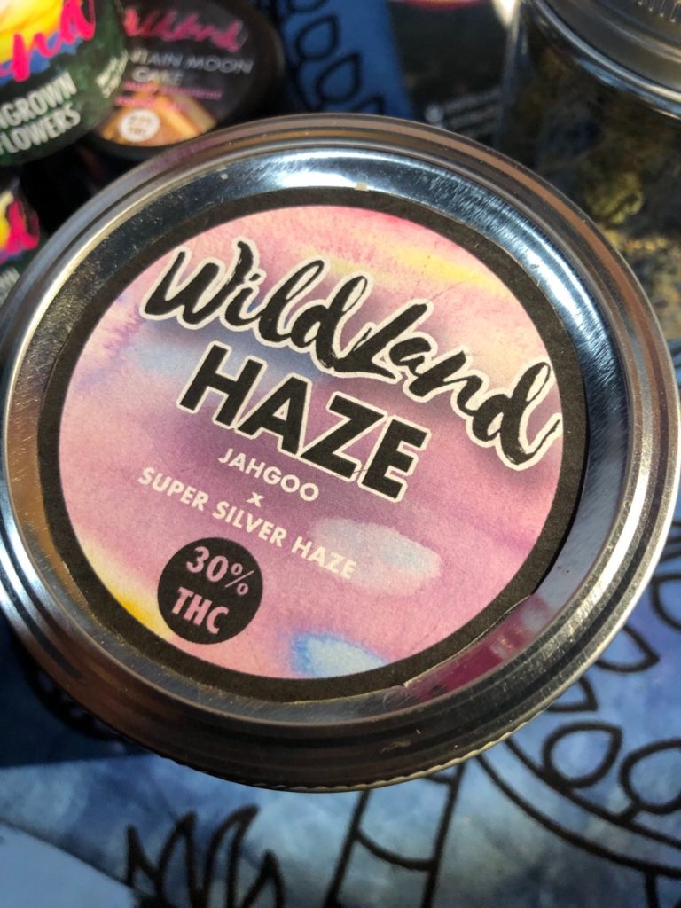 wildLand haze