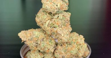 xeno by terpmongers strain review by pnw_chronic 2