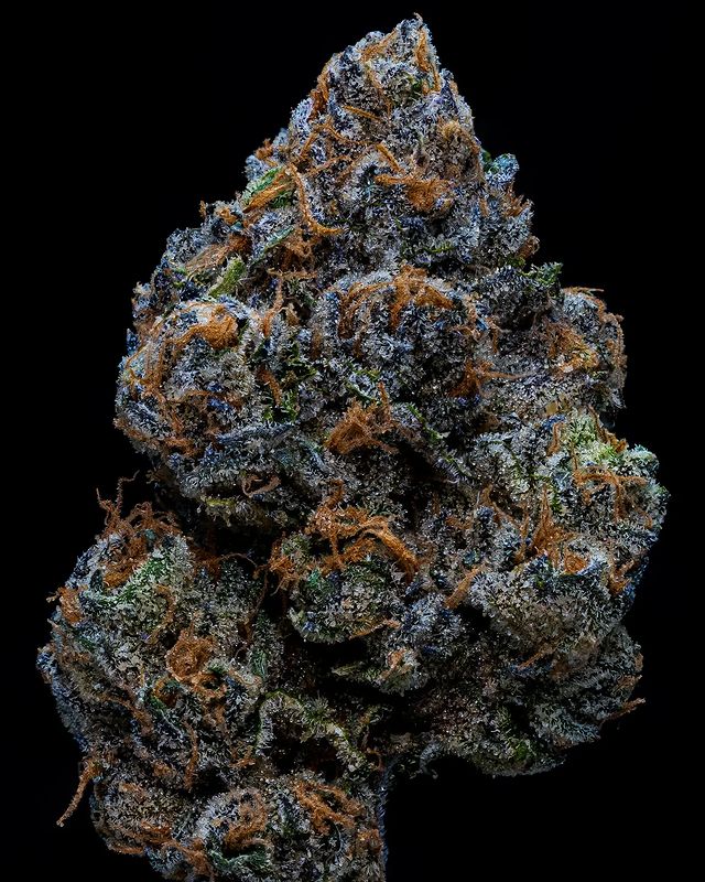 znackz by fire drops strain review by thebudstudi0