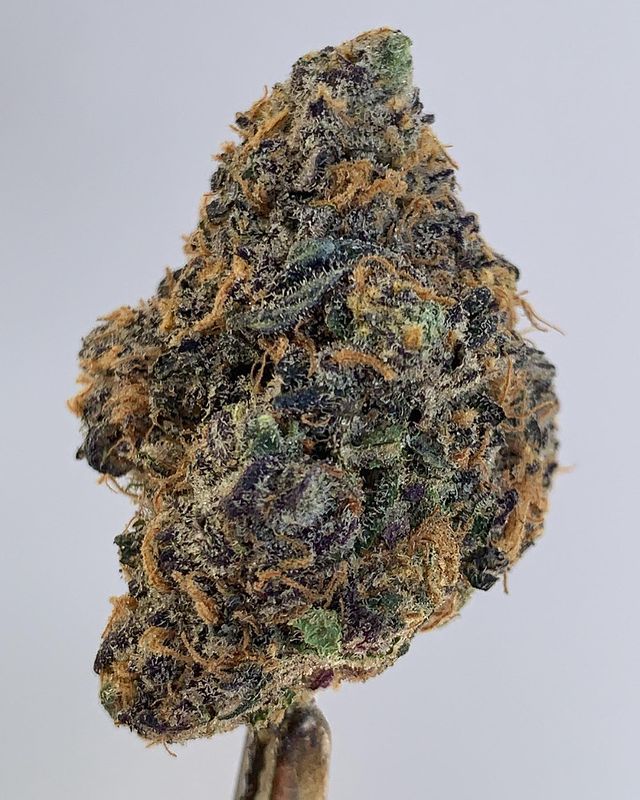 zoap by wizard trees strain review by wl_official619 2
