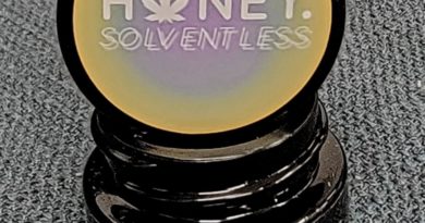 Sour Scotti by Honey Solventless dab review by nc rosin reviews