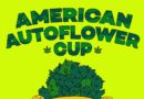 american autoflower cup logo 2023