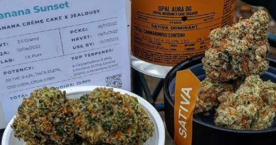 banana sunset by aeriz strain review by theweedadvocate 2