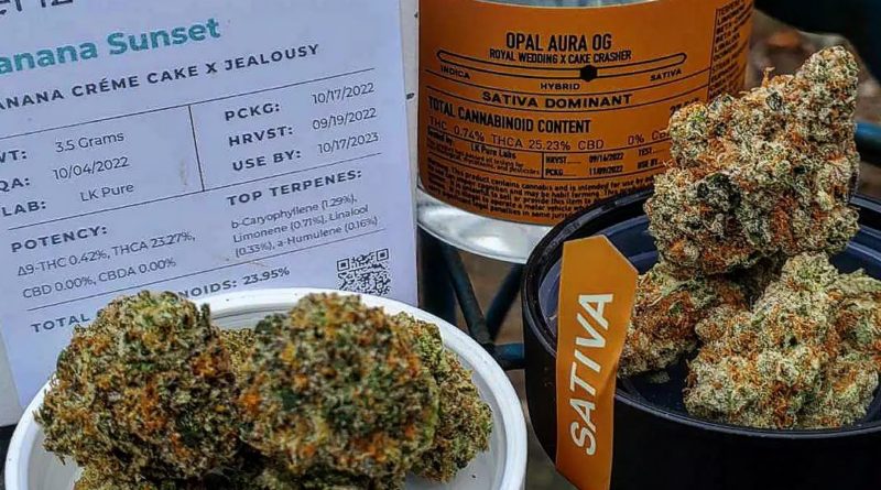 banana sunset by aeriz strain review by theweedadvocate 2