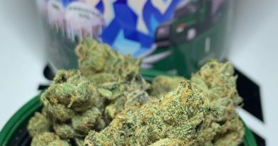 blue flame og by cannabiotix strain review by ogkushhunter