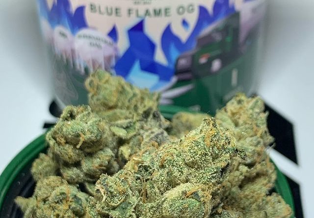 blue flame og by cannabiotix strain review by ogkushhunter