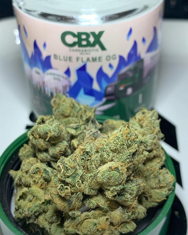 Strain Review: Blue Flame OG by Cannabiotix - The Highest Critic