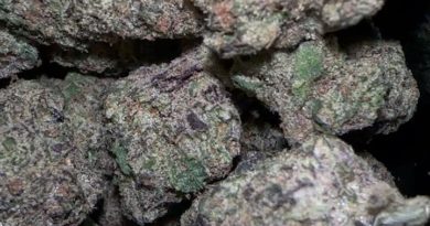 blue neonz by greasy couture strain review by fear.the.terps