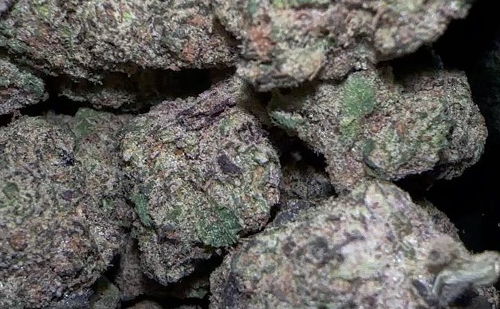 blue neonz by greasy couture strain review by fear.the.terps