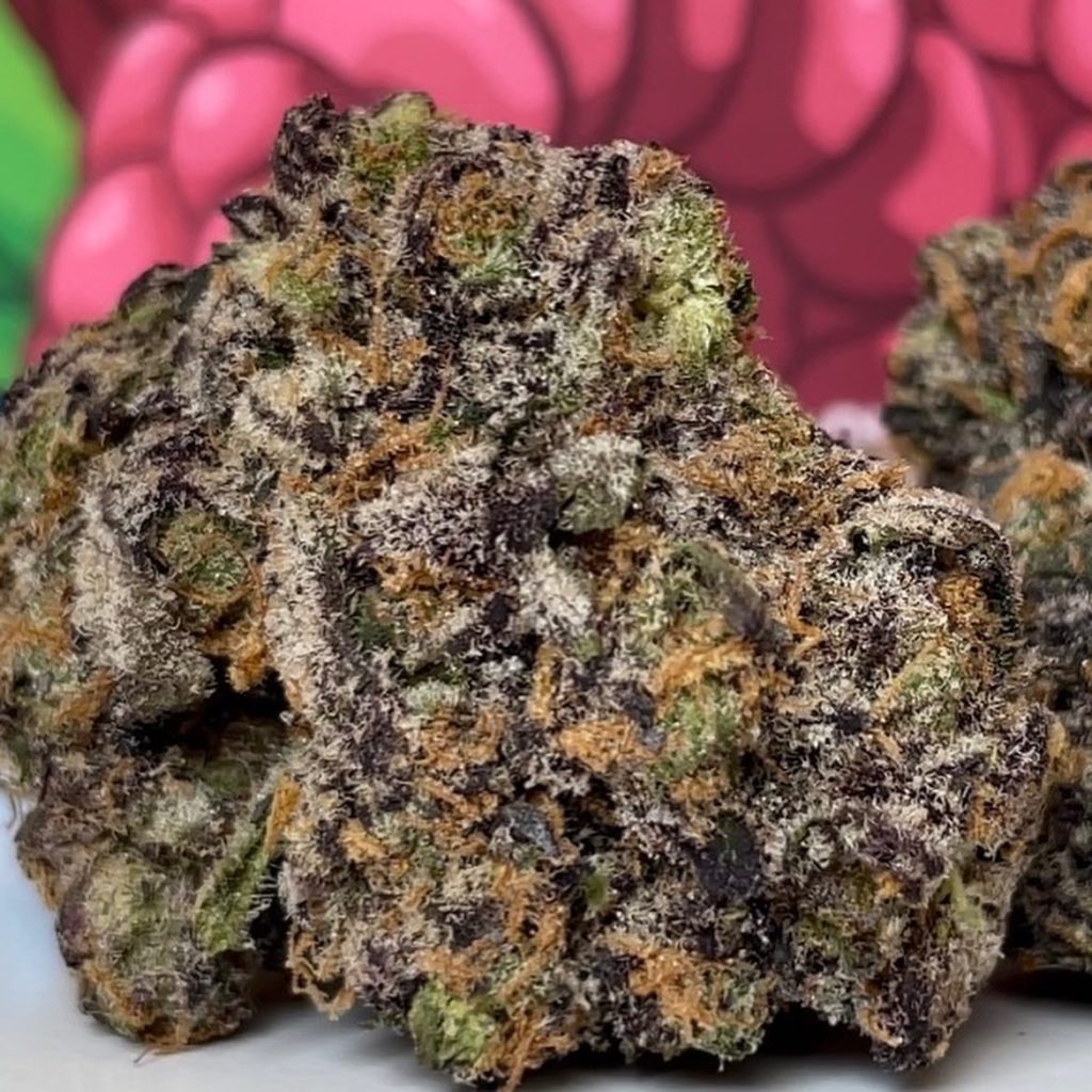 Strain Review: Bompton Berries by YG x Backpack Boyz - The Highest Critic