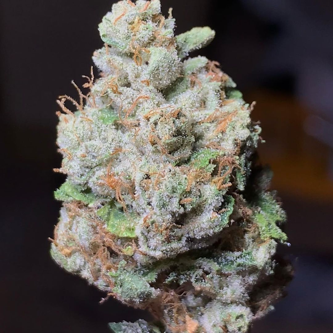 Strain Review: BTY OG by Fresh Baked - The Highest Critic