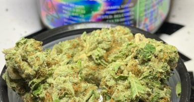 bty og by fresh baked strain review by og kush lover