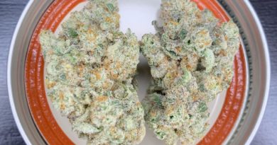 capjunky by terpmongers strain review by pnw.chronic