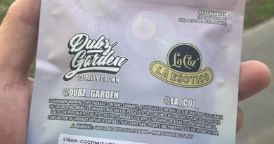 coconut horchata by dubz garden x la coz strain review by thethcspot