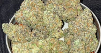 compound z by compound genetics strain review by toptierterpsma