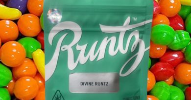 divine runtz by runtz strain review by thethcspot 2