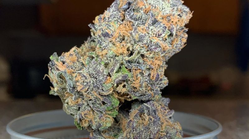 fiji sunset by trichome farms strain review by pnw.chronic