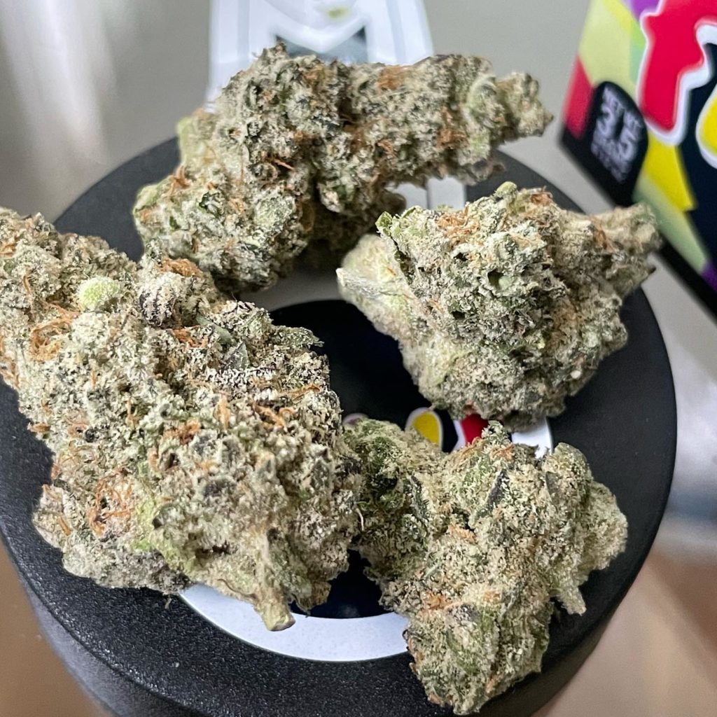 fritz by the cure company strain review by thethcspot