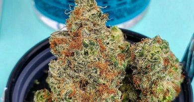 fruit stand by revolution cannabis strain review by theweedadvocate 2