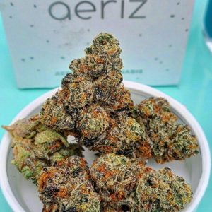 Cultivar Review: Gelato Mintz by aeriz - The Highest Critic