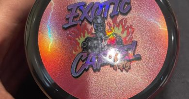 glock 19 by exotic cartel strain review by fear.the.terps 3