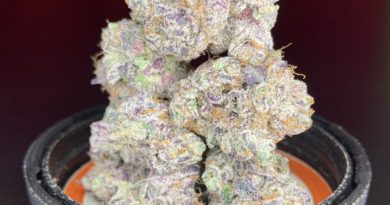 grape bubba by louis vuchron strain review by pnw.chronic 2