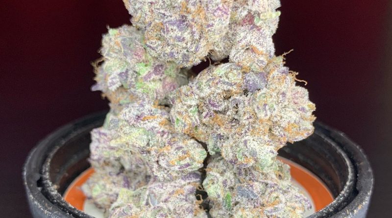 grape bubba by louis vuchron strain review by pnw.chronic 2