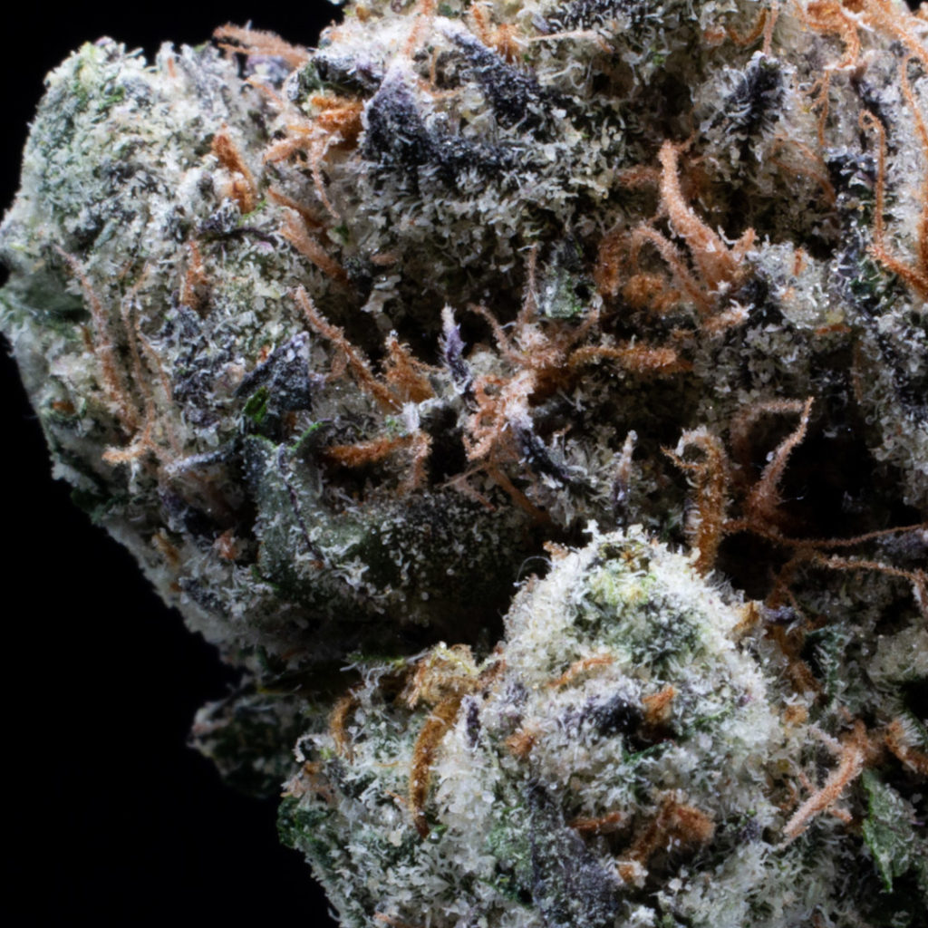 guavalicious by oakfruitland strain review by caleb chen 2.jpg