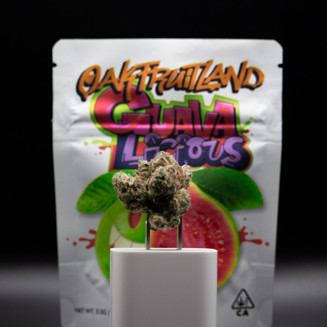 Cultivar Review: Guavalicious by Oakfruitland - The Highest Critic