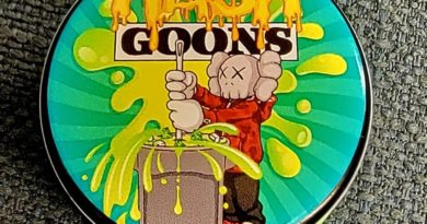 gush mints rosin by hash goons dab review by nc rosin reviews