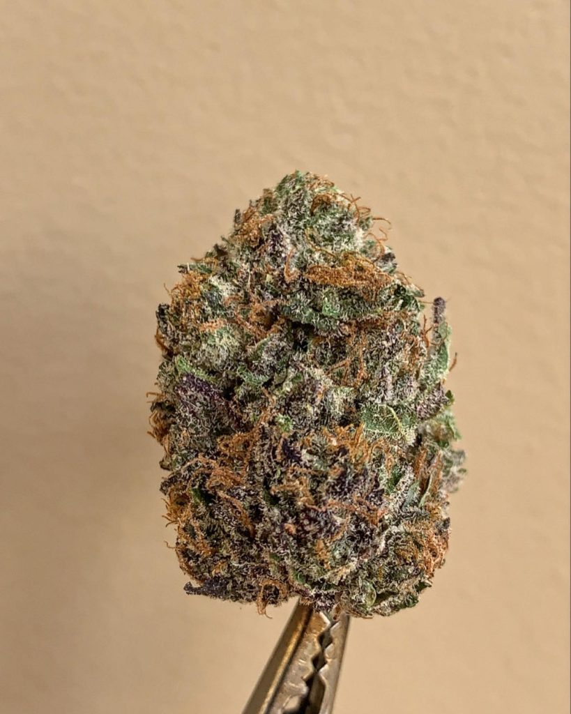hitchhiker by connected cannabis co strain review by wl_official619 2