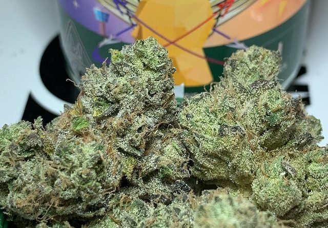 jet lag og by cannabiotix strain review by ogkushhunter