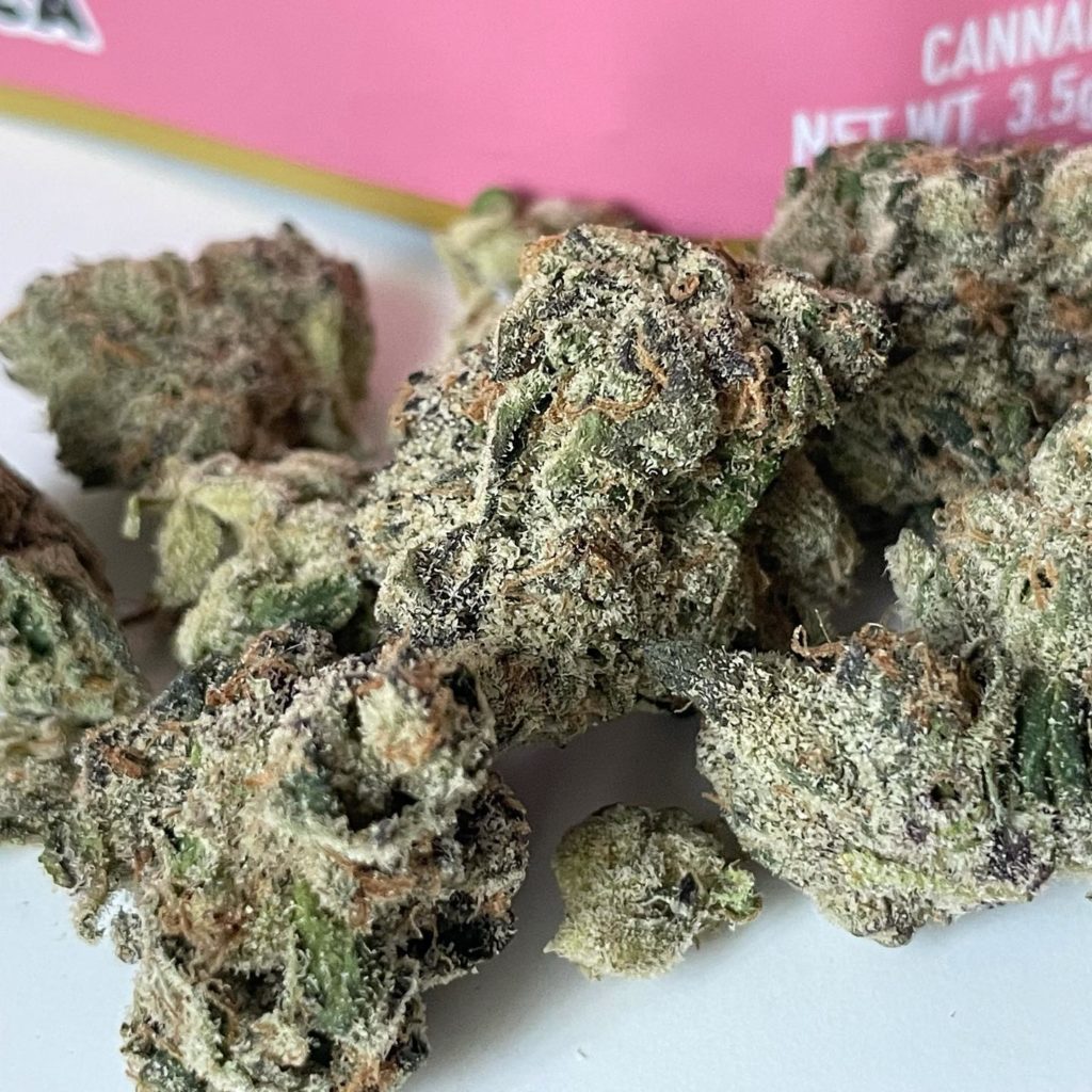 kiwi strawberry gelato by cartel money x backpack boyz strain review by thethecspot