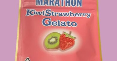 kiwi strawberry gelato by cartel money x backpack boyz strain review by thethecspot 2