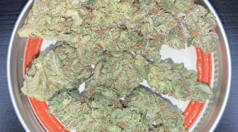martian fruit by boring glory strain review by pnw.chronic