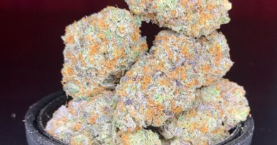 mimosa juicy fruit x rainbow dosi by boring glory strain review by pnw.chronic