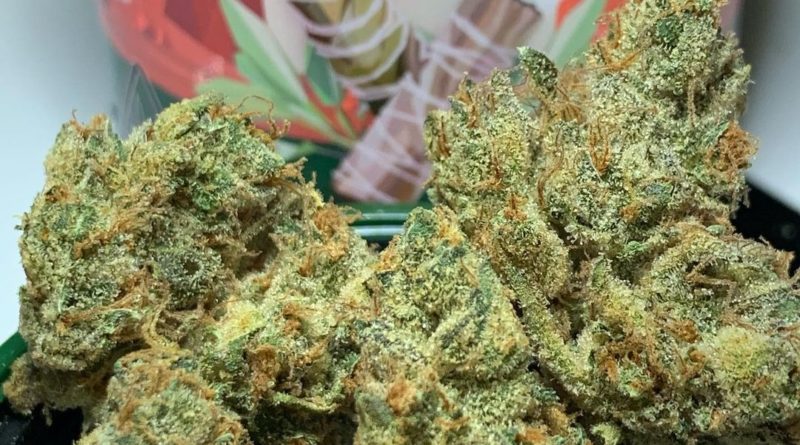 mountain sage by cannabiotix strain review by og kush hunter 2