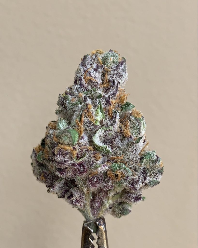 omnichronic by alien labs strain review by wl_official619