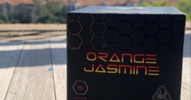 orange jasmine by terraform genetics strain review by wl_official619