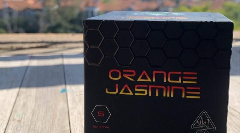orange jasmine by terraform genetics strain review by wl_official619