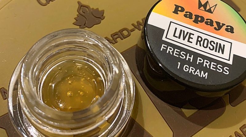 papaya fresh press live rosin by west coast cure dab review by wl_official619
