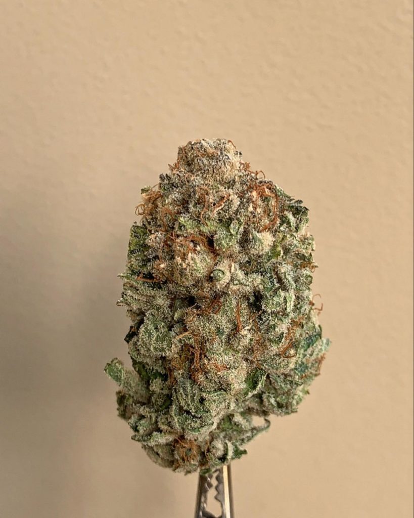 pineapple popz by fresh baked strain review by wl_official619 2